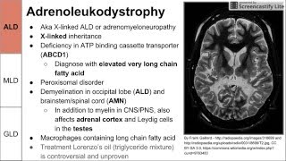 Leukodystrophies ALD MLD and GLD [upl. by Ainsley]