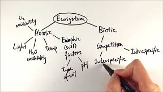 A2 Biology  Factors affecting an ecosystem OCR A Chapter 231 [upl. by Elvera434]