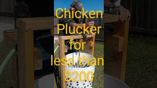 Manual Chicken Plucker for Pasture Poultry [upl. by Anigroeg]