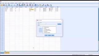 Levels of Measurement in SPSS Nominal Ordinal amp Scale [upl. by Thamora]