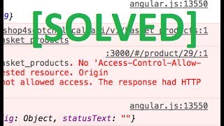 CORS access control allow origin SOLVED [upl. by Denny175]