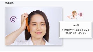 【HOWTO】「パドル ブラシ」の使い方＆簡単お手入れ方法 [upl. by Hniv795]