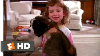 Beethoven 1992  The New Puppy Scene 110  Movieclips [upl. by Anitrak169]