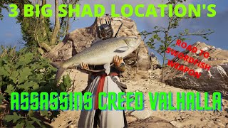 Big Shad Location in Assassins Creed Valhalla [upl. by Ddet]