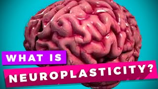 Neuroplasticity and learning explained [upl. by Rollins]