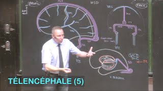 Developpement de l intelligence selon Piaget  Le stade sensorimoteur [upl. by Ettenor2]