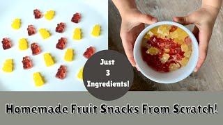 Make FRUIT SNACKS From Scratch   Homesteading Family [upl. by Eelirol]