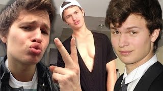 7 Times Ansel Elgort Made the Internet SWOON [upl. by Oicafinob]