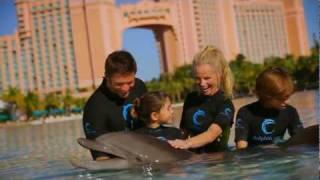 Atlantis Paradise Island Bahamas [upl. by Aubyn]