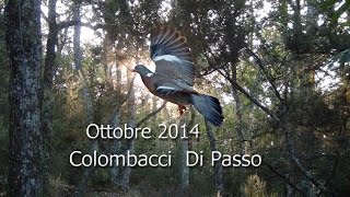 Colombacci di Passo 2014 [upl. by Ainavi171]