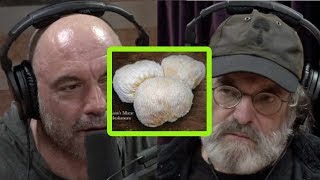 Paul Stamets Miracle Mushrooms Mycelium and Your Health [upl. by Ardnued794]