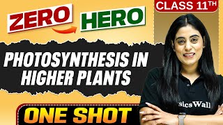 Photosynthesis in Higher Plants  Full Chapter in ONE SHOT  Chapter 11  Class 11 Biology [upl. by Akemhs]