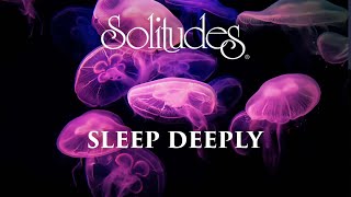 Dan Gibson’s Solitudes  Gentle Descent  Sleep Deeply [upl. by Grove]