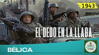 El dedo en la llaga 1969  Belica  Pelicula Clasica  Segunda Guerra Mundial [upl. by Drofliw]