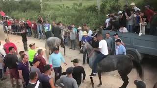 LAS MORAS MATANZA VS CIENFUEGOS [upl. by Suillenroc]