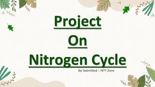 Project on Nitrogen cycle II cbse I social studie [upl. by Elleined]