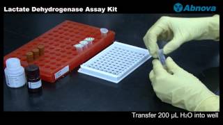 Lactate Dehydrogenase Assay Kit [upl. by Nadia]