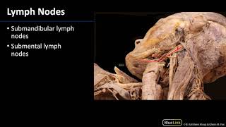 What are the symptoms of parotid cancer [upl. by Philipps]