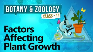 Factors Affecting Plant Growth  Plant Growth and Development  Biology Class 11 [upl. by Trotter]