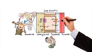 Pharmacology  DIURETICS MADE EASY [upl. by Kabob]