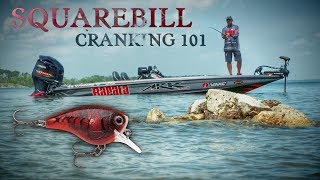 Bass Fishing Squarebill Crankbaits 101 [upl. by Ferdie]