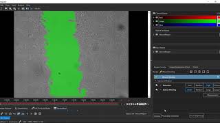 Wound Healing Assay Quantified [upl. by Kcirded270]