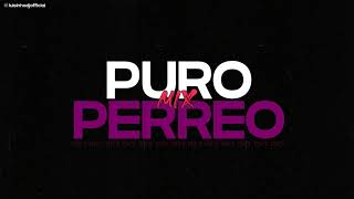 MIX PURO PERREO 2021 LO MAS NUEVO [upl. by Stephen]