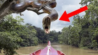 10 Scariest Encounters With Snakes [upl. by Lorusso]