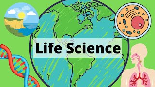 A Year of Life Science in 3 Minutes [upl. by Rednasxela]