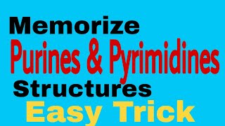 Purine amp Pyrimidine Structures  Easy way to memorize [upl. by Silber]