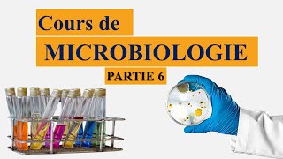 cours de microbiologie partie 6  notion despèce et souche type  la classification des bactéries [upl. by Anyehs]