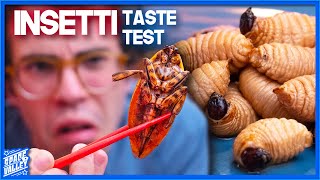 Mangiamo gli INSETTI  Taste Test  5 Anni Dopo [upl. by Malas]