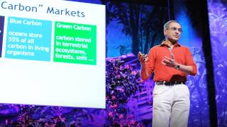 Pavan Sukhdev Put a value on nature [upl. by Wong]