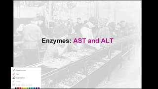 Clinical Chemistry Review Enzymes AST and ALT [upl. by Mecke]