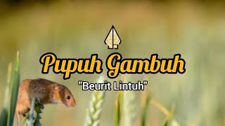 PUPUH GAMBUH  LIRIK [upl. by Namyac513]