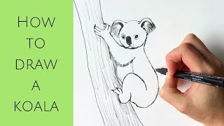 Beginners  How to draw a koala [upl. by Haggerty]