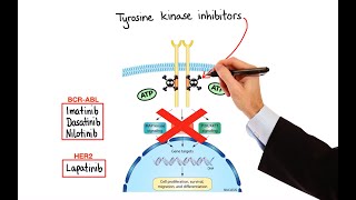 Pharmacology  CANCER DRUGS – CELL CYCLE INHIBITORS MADE EASY [upl. by Atlas]