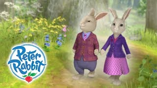 Peter Rabbit  Parents Day  Curious Bunnies  Cartoons for Kids [upl. by Gonick113]