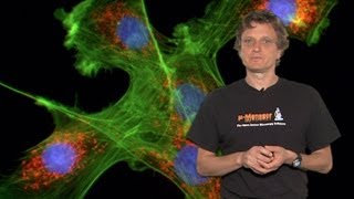 Microscopy Introduction to Fluorescence Microscopy Nico Stuurman [upl. by Einyaj]