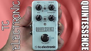 TC Electronic Quintessence Harmony Demo amp Review  Stompbox Saturday [upl. by Enelyar]