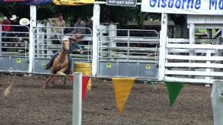 Gisborne Rodeo [upl. by Tireb]