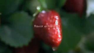 HäagenDazs  quotStrawberryquot Commercial [upl. by Scales]