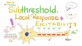 Subthreshold Stimulus Local Response Catelectrotonus Anelectrotonus  Nerve Physiology [upl. by Gran]