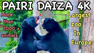 Visit Pairi Daiza  Belgium  Largest Zoo in Europe 4K  Part 2 [upl. by Atiras679]