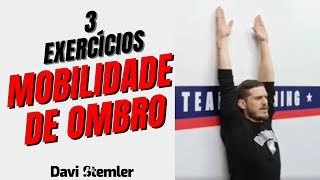 MELHORAR A MOBILIDADE DE OMBRO  3 Exercícios  Davi Stemler [upl. by Eerual]