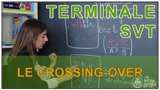 Le crossingover  SVT  Terminale  Les Bons Profs [upl. by Ereveniug623]