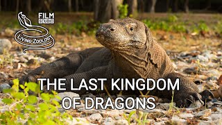 The Last Kingdom of Dragons  film about Komodo by Living Zoology film studio [upl. by Nabala]