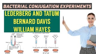 BACTERIAL CONJUGATION \ DETAILS OF EXPERIMENTS\LEDERBERG AND TATUM\BERNERD DAVIS\WILLIAN HAYES [upl. by Annwahsal]