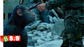 Apes Movie Explained In Hindi amp Urdu [upl. by Anneg]