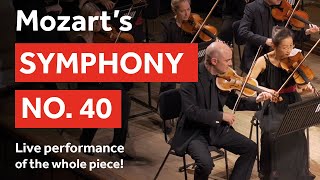 Mozarts Symphony No 40 – performed live by the London Mozart Players whole piece [upl. by Lorelie]